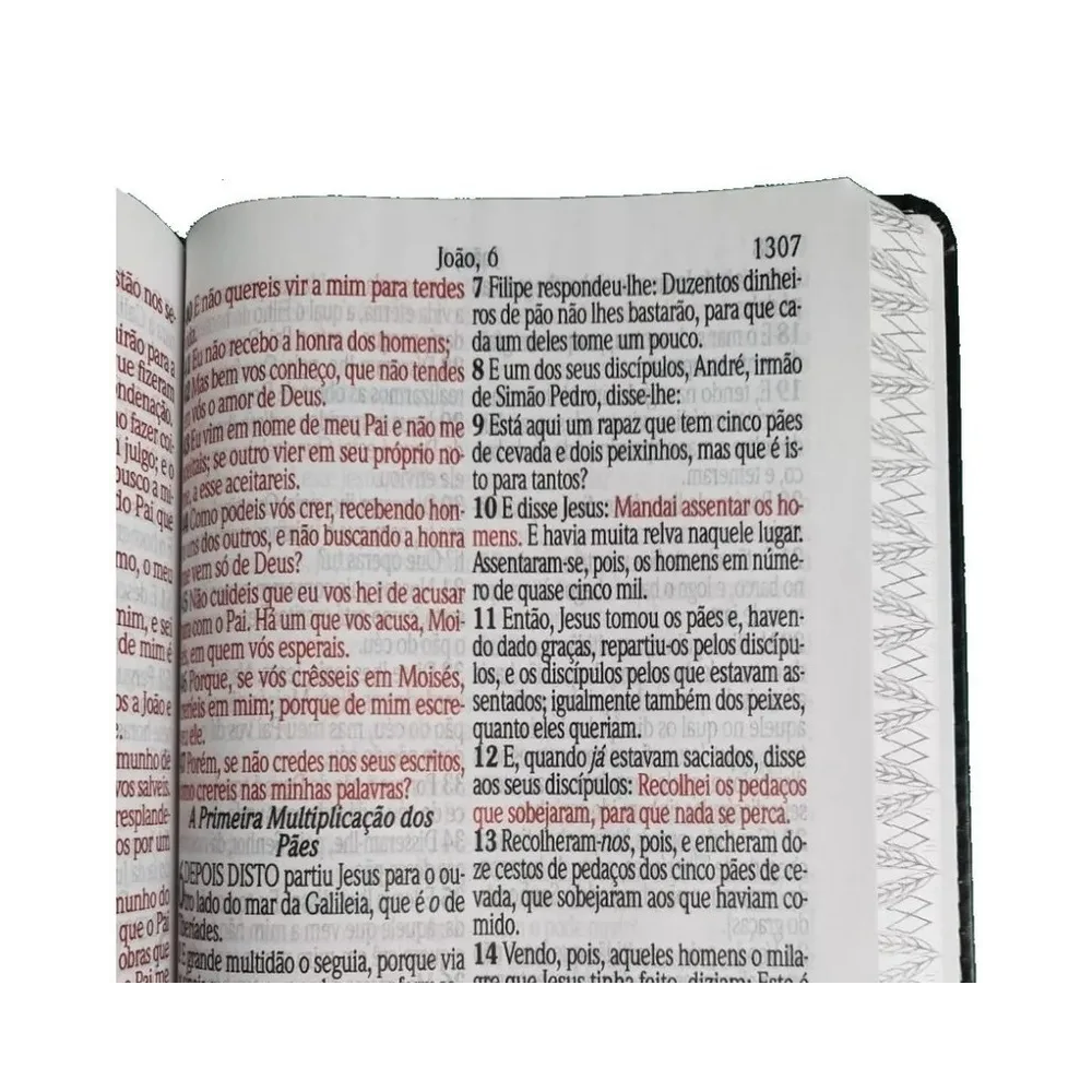 Bíblia Sagrada Letra Jumbo | ARC | Capa Luxo Arabesco Marrom