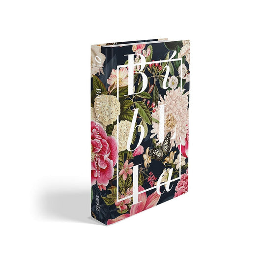 Bíblia Buque Colors | NAA | Letra Normal | Capa Dura