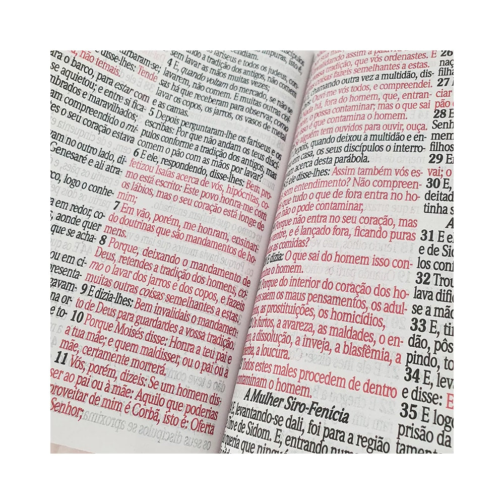 Bíblia Sagrada Letra Jumbo | ARC | Harpa Avivada e Corinhos | Capa PU Luxo Ramos Pink