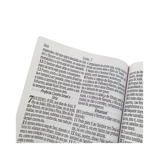 Bíblia Sagrada Letra Jumbo | ARC | Harpa Avivada e Corinhos | Capa PU Luxo Ramos Vermelha