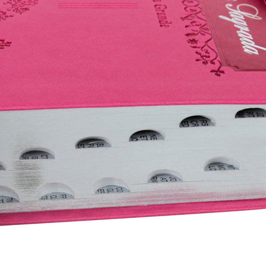 Bíblia Sagrada Raminhos | ARC | Letra Grande | Capa Pink C/ Índice