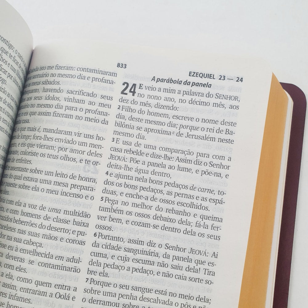 Bíblia Sagrada | ARC | Letra Grande | Harpa Cristã | Capa Vinho