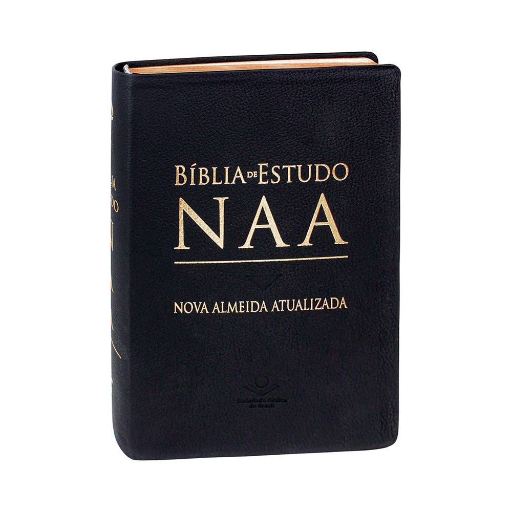 Bíblia de Estudo | NAA | Letra Normal | Capa Couro Legítimo