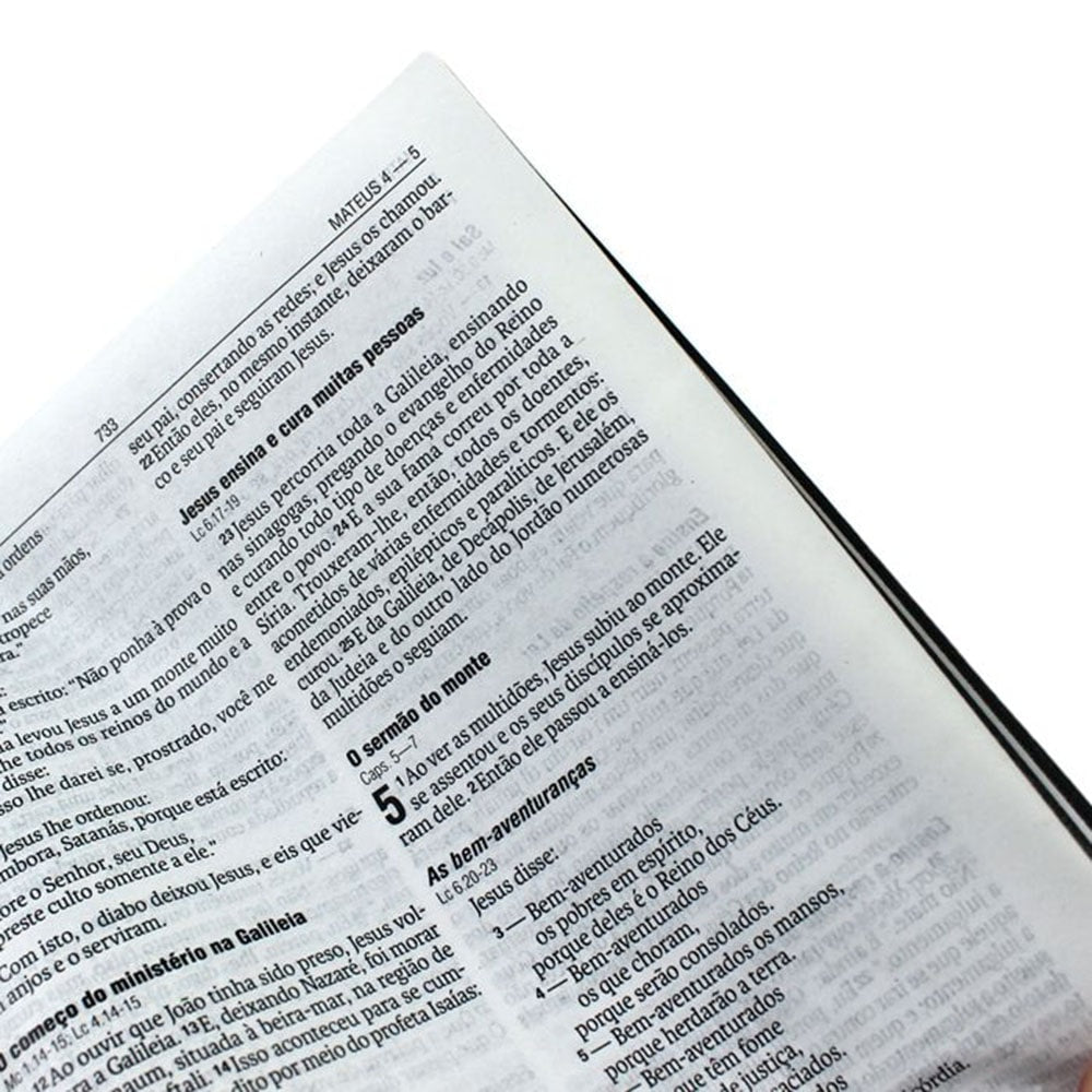 Bíblia Sagrada Cruz Listrada Dourada | Letra Normal | NAA | Capa Dura