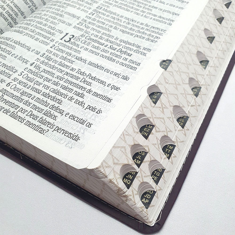 Bíblia Sagrada Harpa Avivada e Corinhos | ARC | Letra Jumbo | Índice | Luxo Vinho