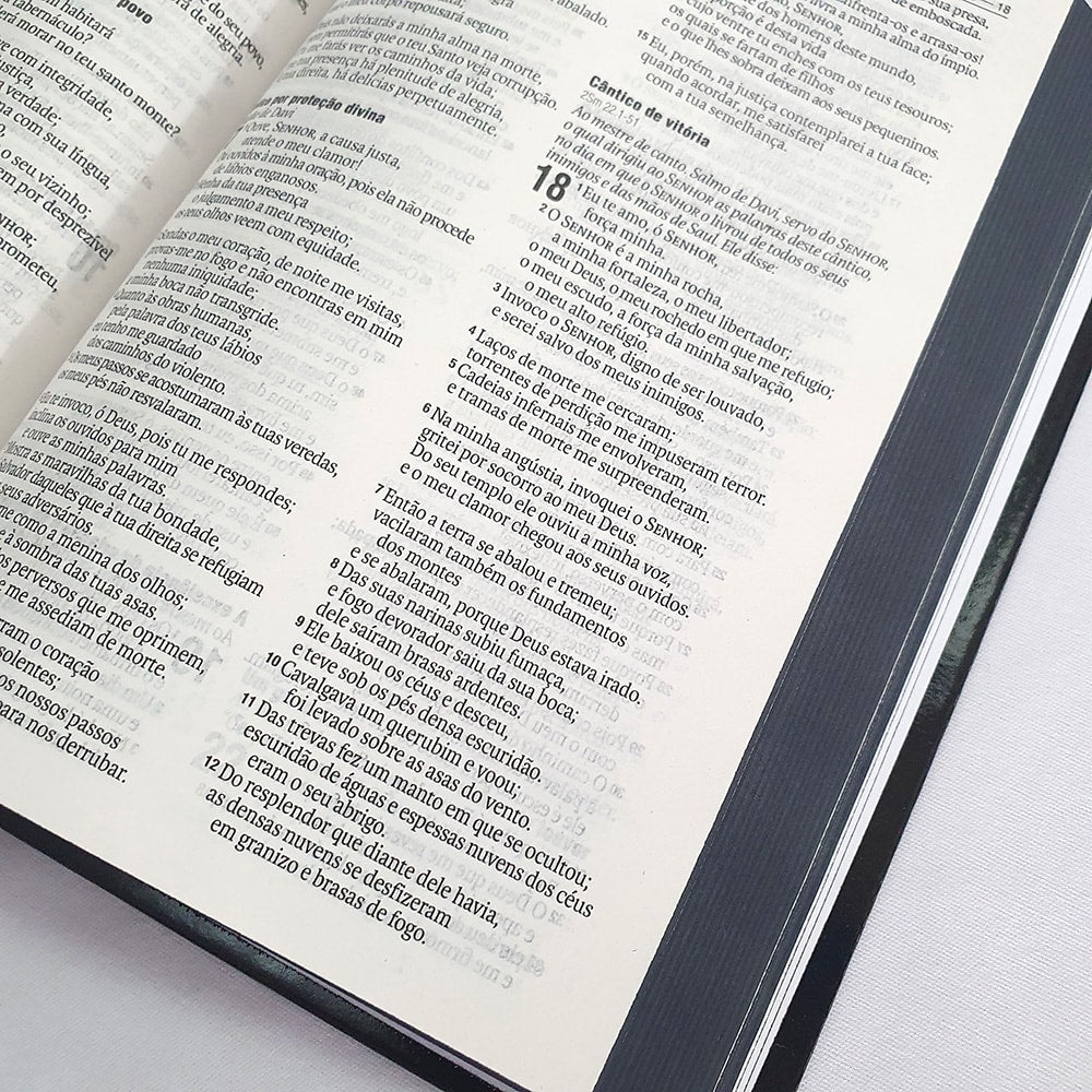 Bíblia Maranatha | NVI | Letra Normal | Capa Dura