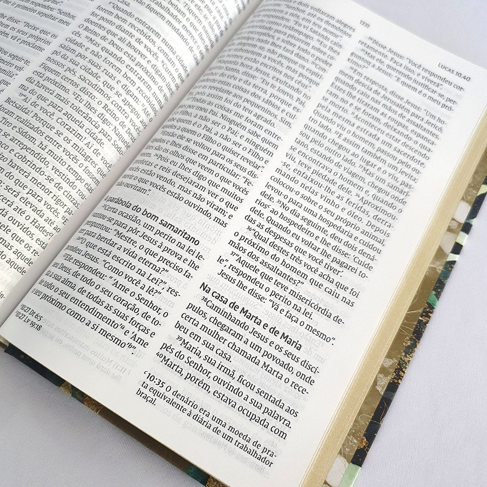 Bíblia Jardim Noturno | Leitura Perfeita | NVI | Letra Grande | Capa Dura