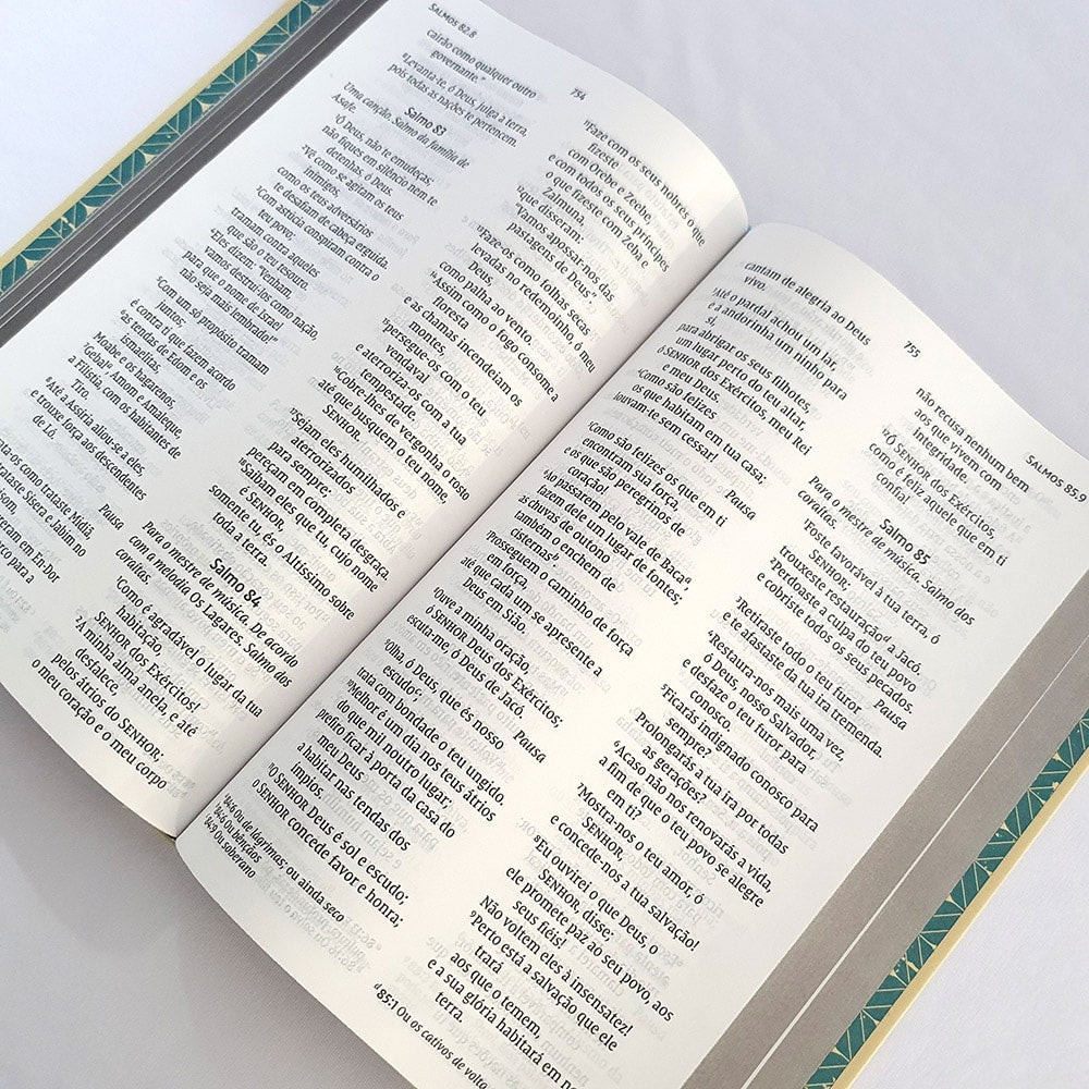 Bíblia Retrô Turquesa | Leitura Perfeita | NVI | Letra Grande | Capa Dura