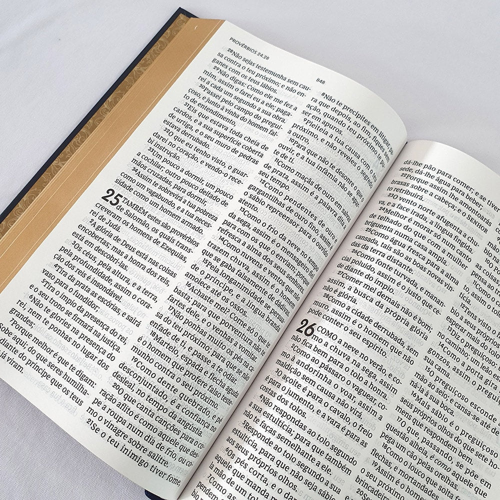 Bíblia Tesouro Sagrado | Leitura Perfeita | ACF | Letra Grande | Capa Dura
