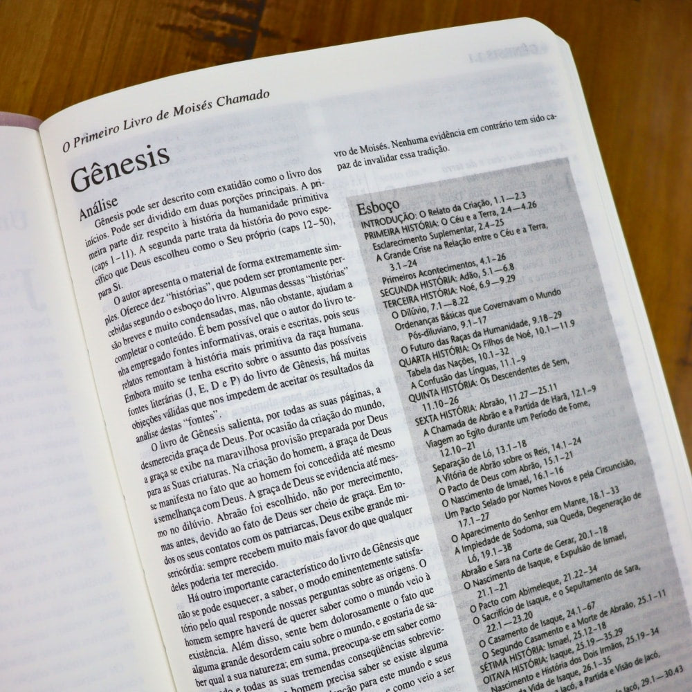 Bíblia Shedd | ARA | Letra Normal | Capa Feminina