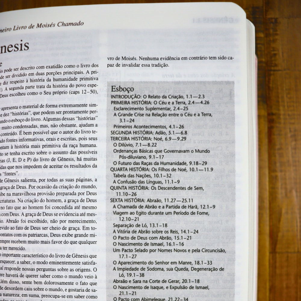 Bíblia Shedd | ARA | Letra Normal | Capa Feminina