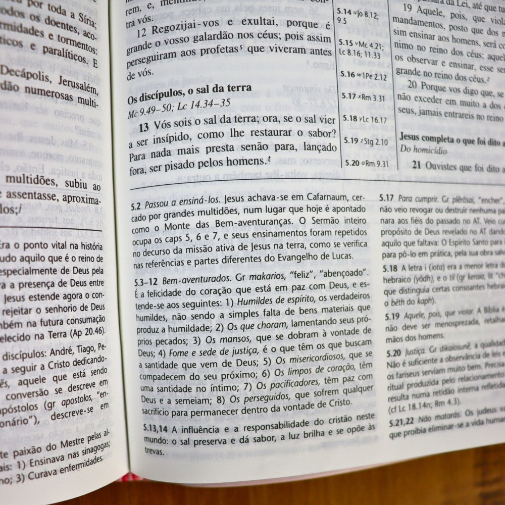 Bíblia Shedd | ARA | Letra Normal | Capa Feminina