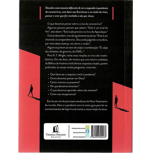 Deus e a Pandemia | N T Wright