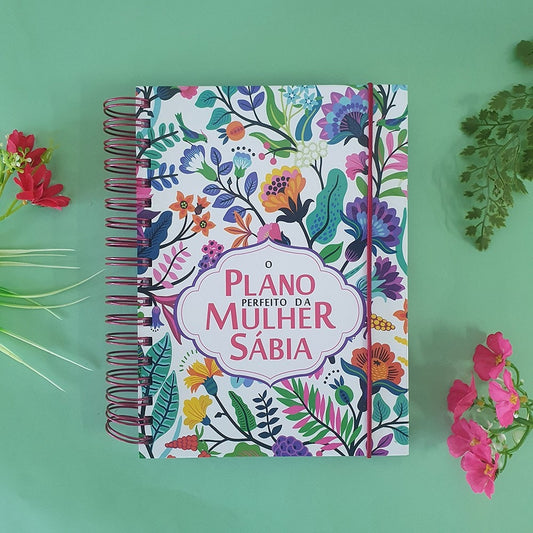 O Plano Perfeito da Mulher Sábia | Capa Aquarela | MOD 6