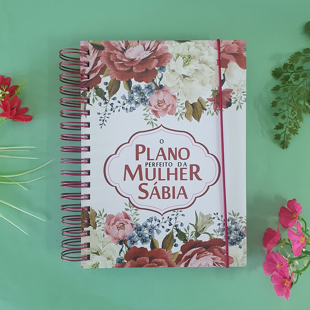 O Plano Perfeito da Mulher Sábia | Capa Zínia