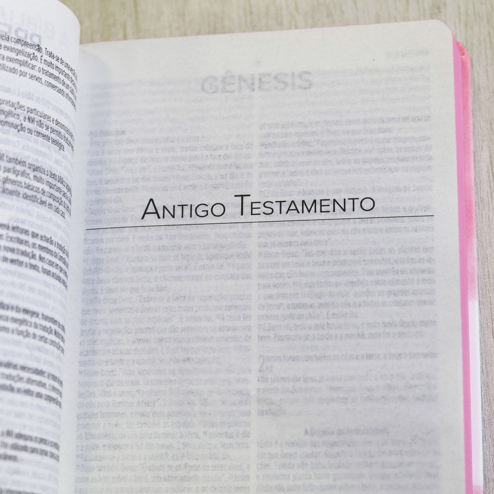 Bíblia Asas do Pensamento | NVI | Letra Normal | Capa Dura