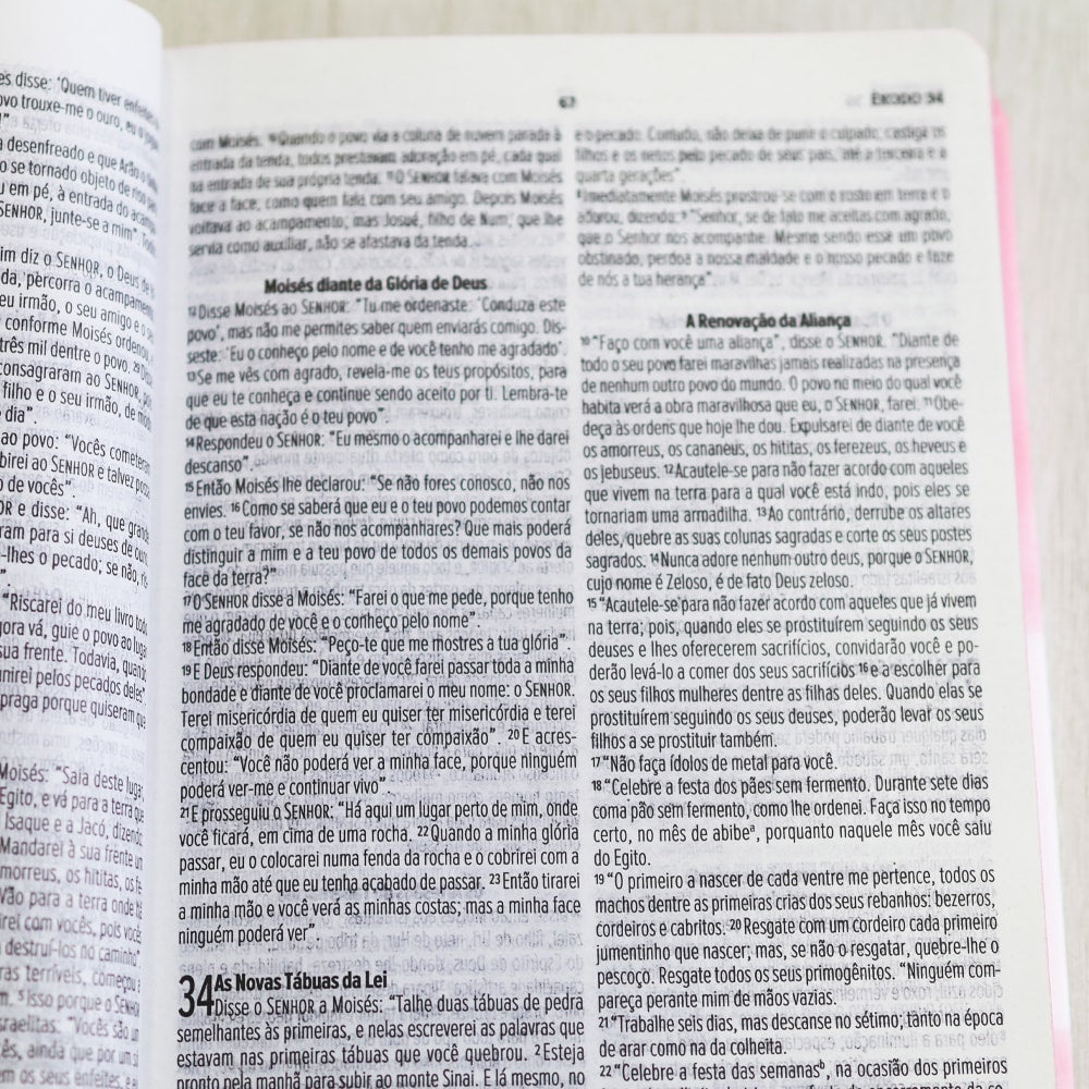 Bíblia Asas do Pensamento | NVI | Letra Normal | Capa Dura