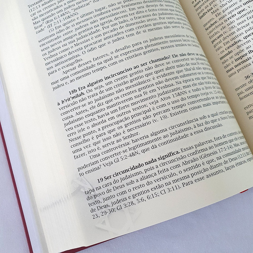 Comentário Judaico do Novo Testamento | David H Stern