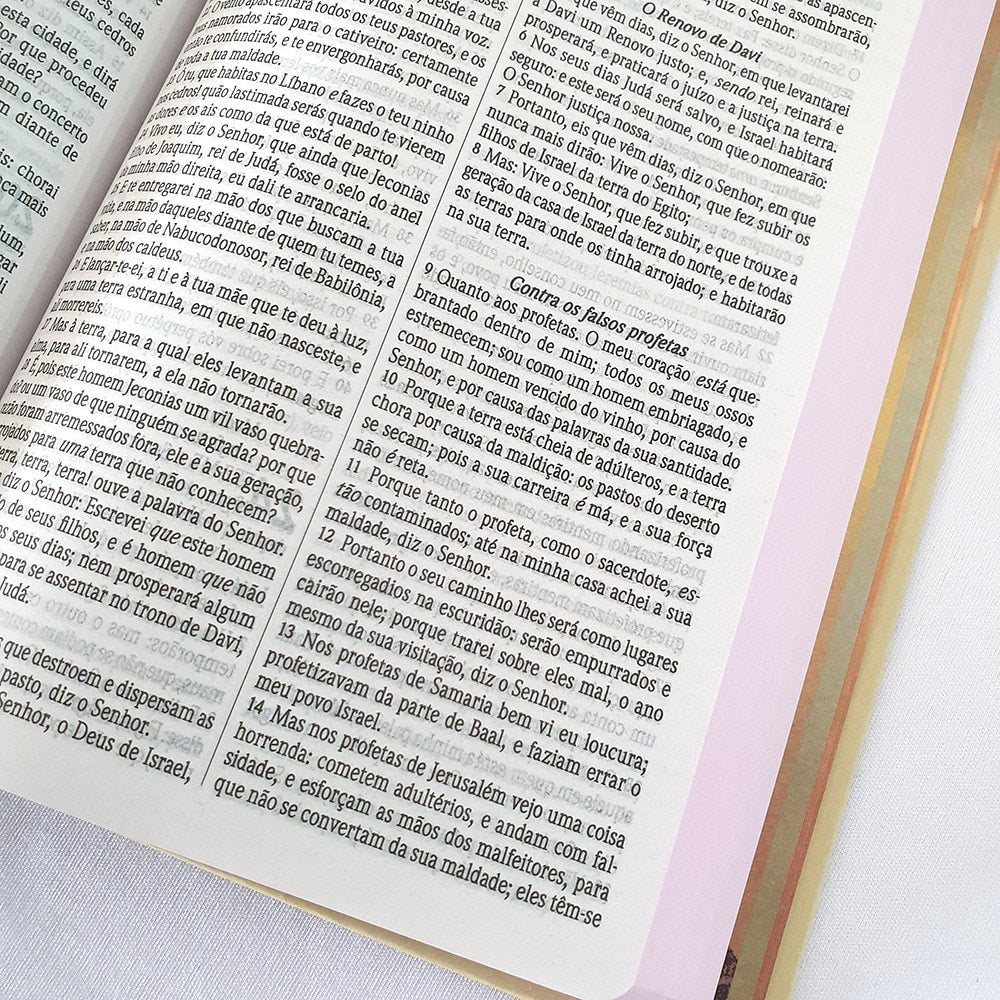 Bíblia Floral | ARC | Letra Normal | Capa Dura