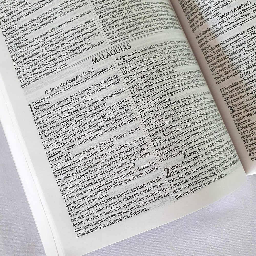 Bíblia para Evangelismo Leão Perfil | ARC | Letra Normal | Brochura