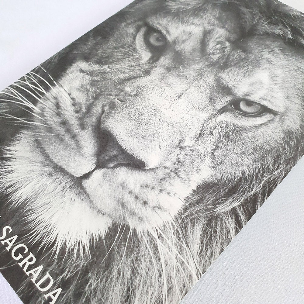 Bíblia para Evangelismo Leão PB | ARC | Letra Normal | Brochura