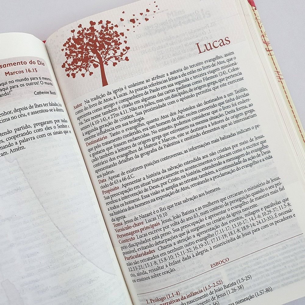Bíblia da Mulher Virtuosa | ARC | Letra Normal | PU Luxo Red