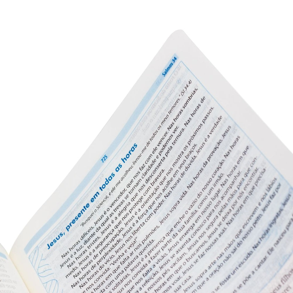 Bíblia O Livro da Esperança Pomba | NAA | Letra Normal | Capa Dura