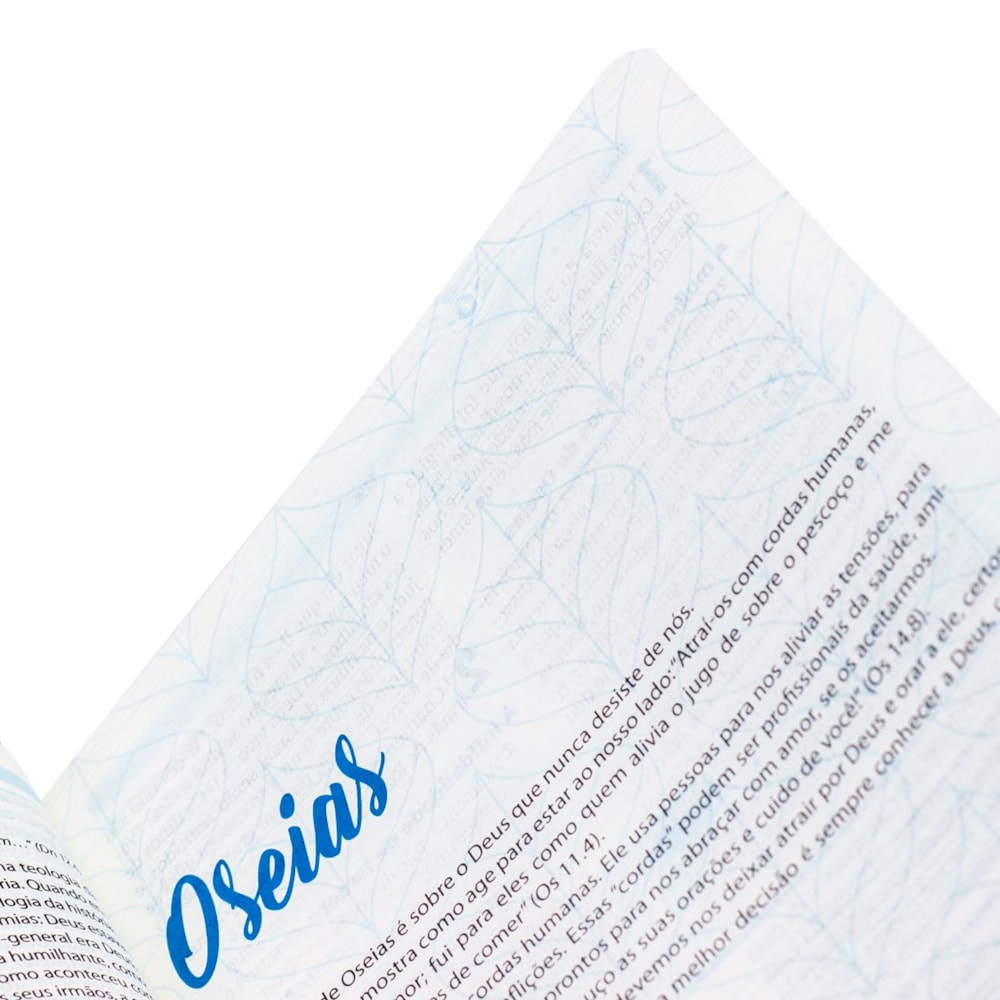 Bíblia O Livro da Esperança Pomba | NAA | Letra Normal | Capa Dura