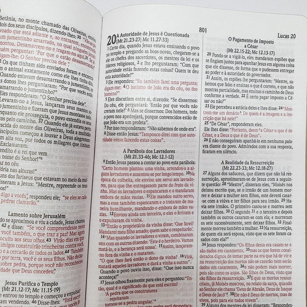 Bíblia Sagrada Feminina Borboleta | NVI | Letra Normal | Capa Dura
