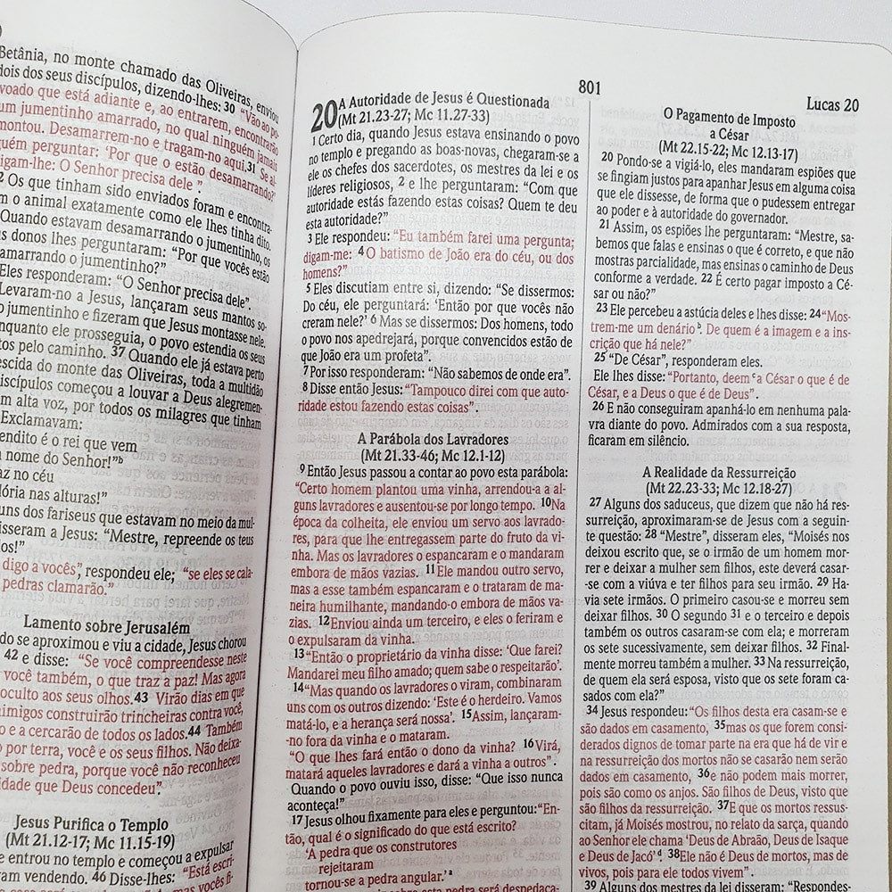 Bíblia Sagrada Eu Sou a Ressurreição | NVI | Letra Normal | Capa Dura