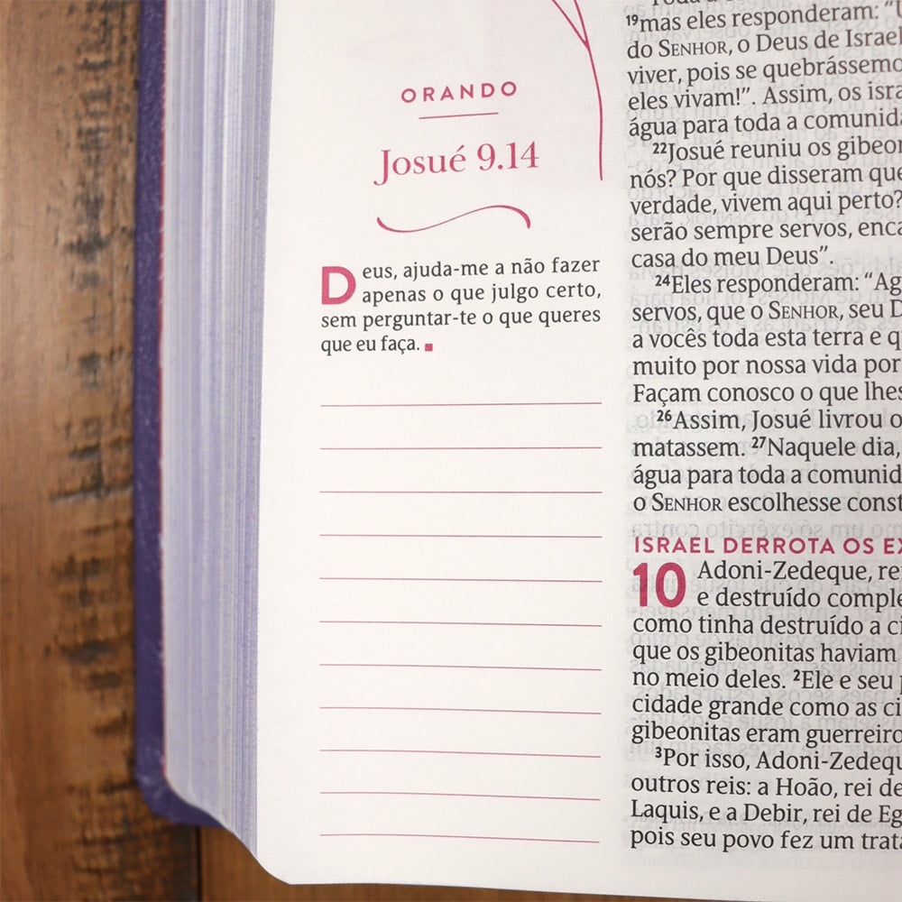 A Bíblia da Mulher que Ora - Edição Expandida | NVT | Letra Normal | Roxa