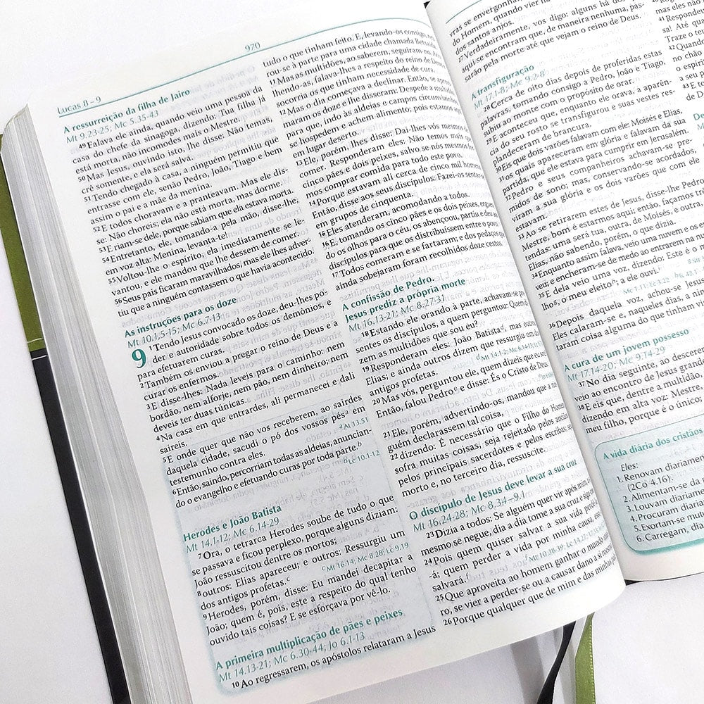 A Bíblia do Pregador | ARA | Letra Normal | Capa PU Verde e Preta