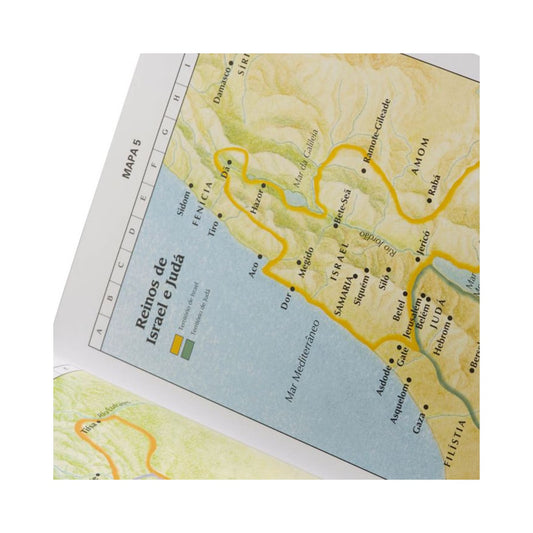 Bíblia de Estudo Plenitude | Letra Normal | ARC | Capa Preta e Vinho