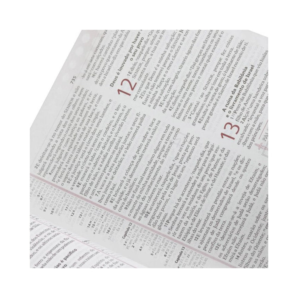 Bíblia de Estudo Plenitude | Letra Normal | ARC | Capa Preta e Vinho