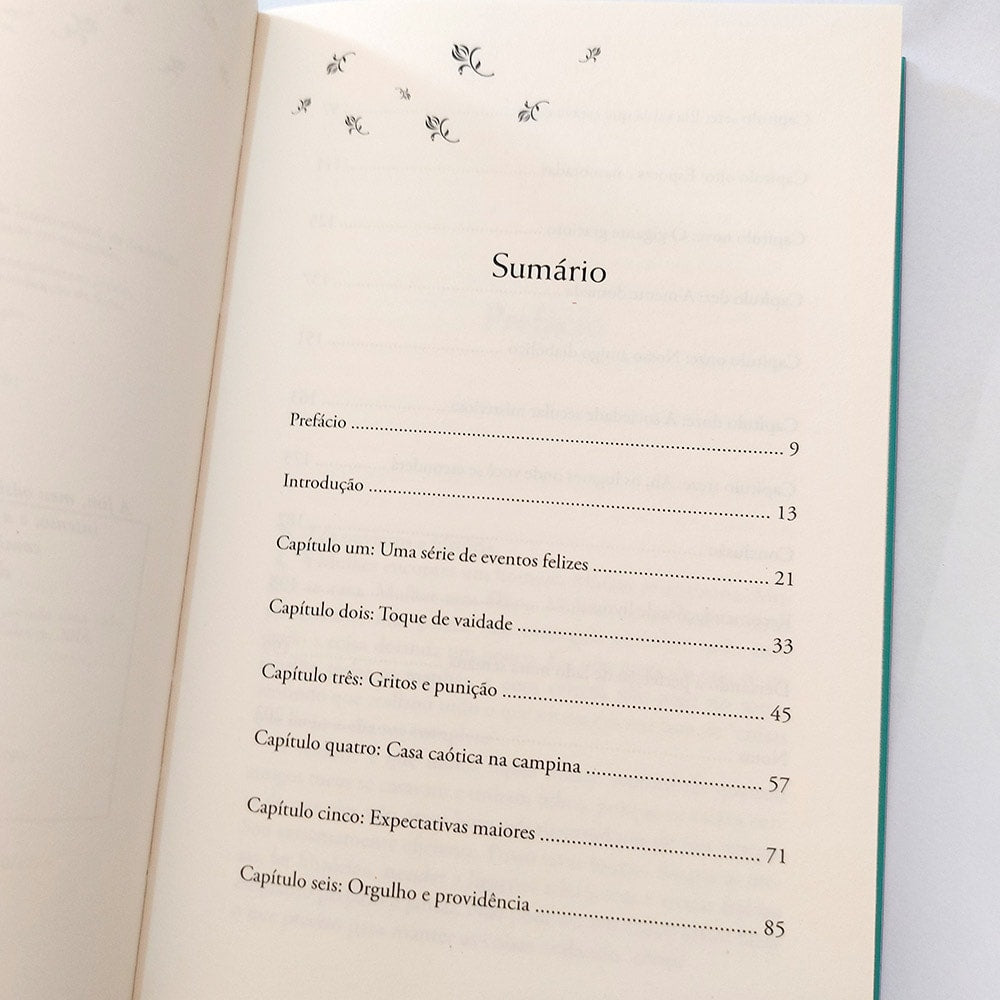 Deixando a perfeição de lado | Amy E. Spiegel