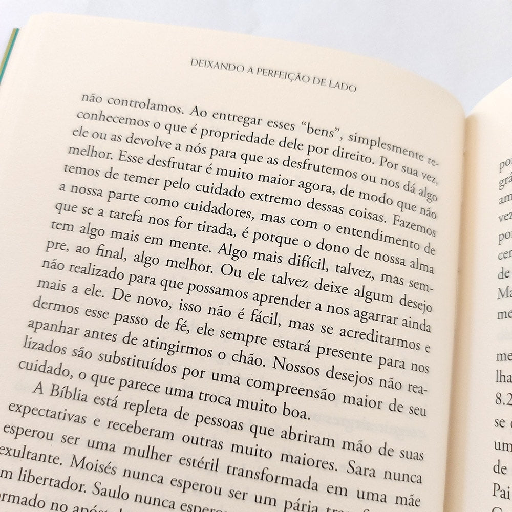 Deixando a perfeição de lado | Amy E. Spiegel