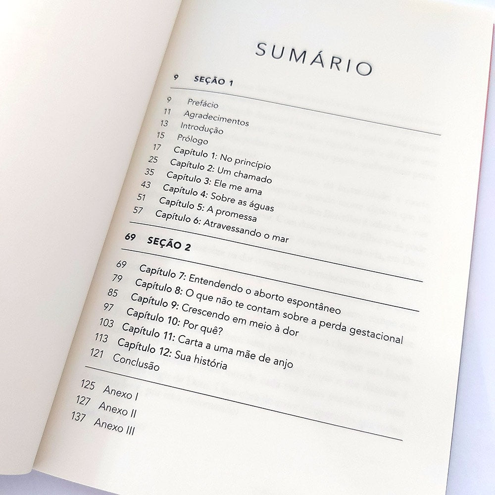 Dois Anjos e um Menino | Ellen Barcellos