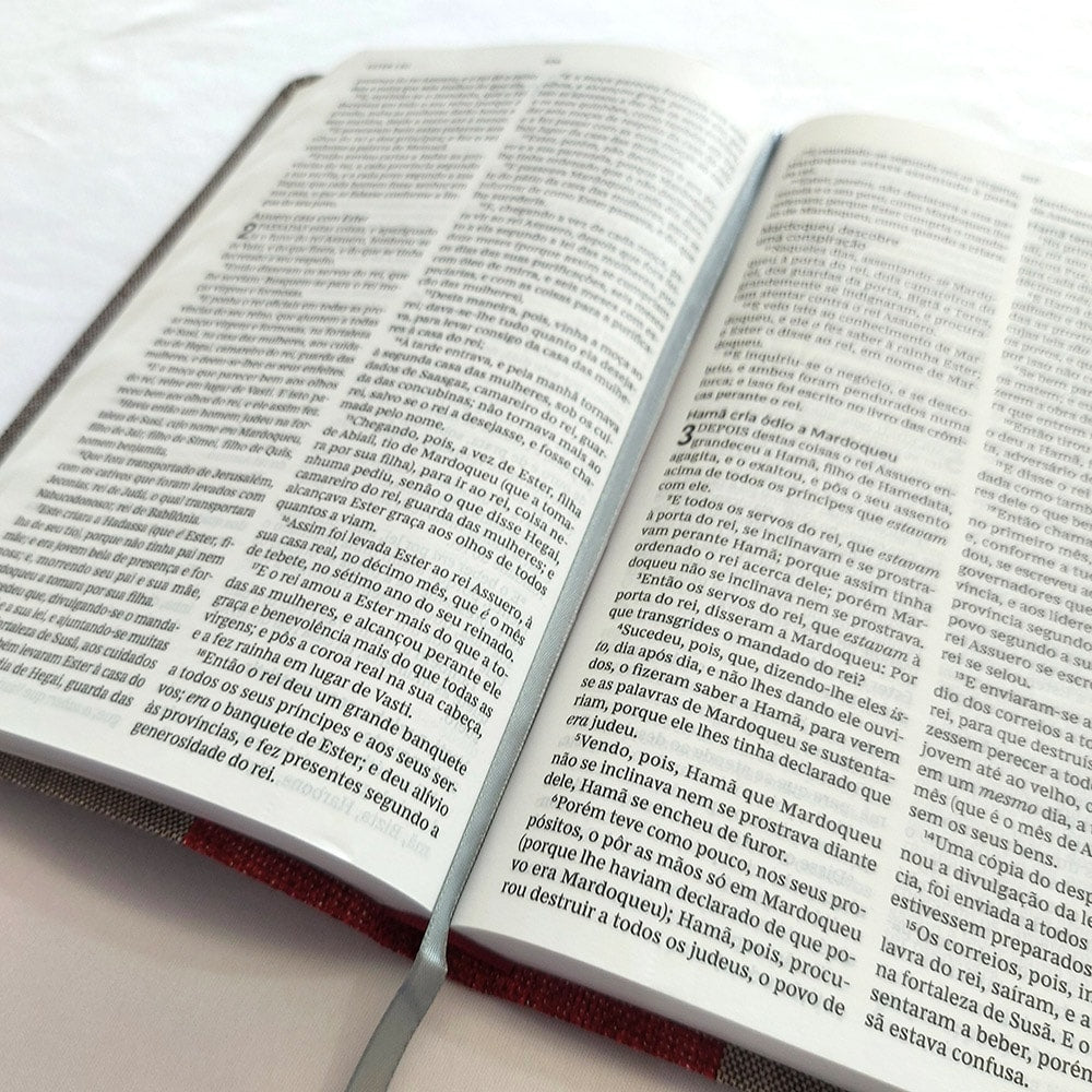 Bíblia Sagrada | ACF | Letra Normal | Leitura Perfeita | Capa Tecido
