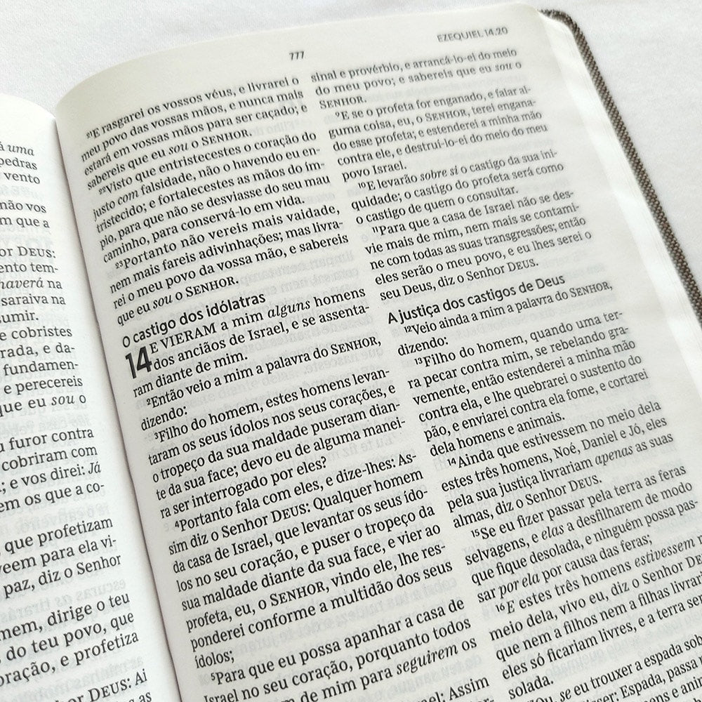 Bíblia Sagrada | ACF | Letra Normal | Leitura Perfeita | Capa Tecido