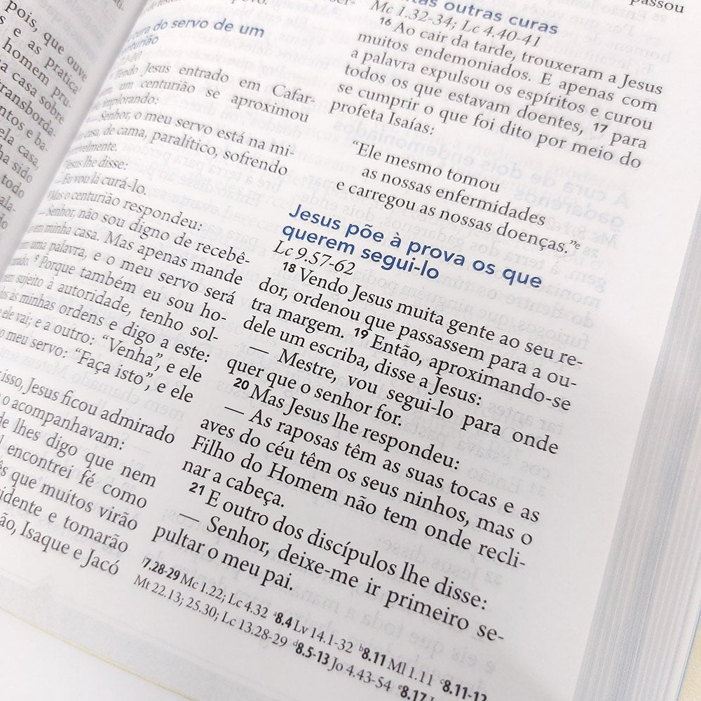 Bíblia Além do Sofrimento | NAA | Letra Normal | Rosa