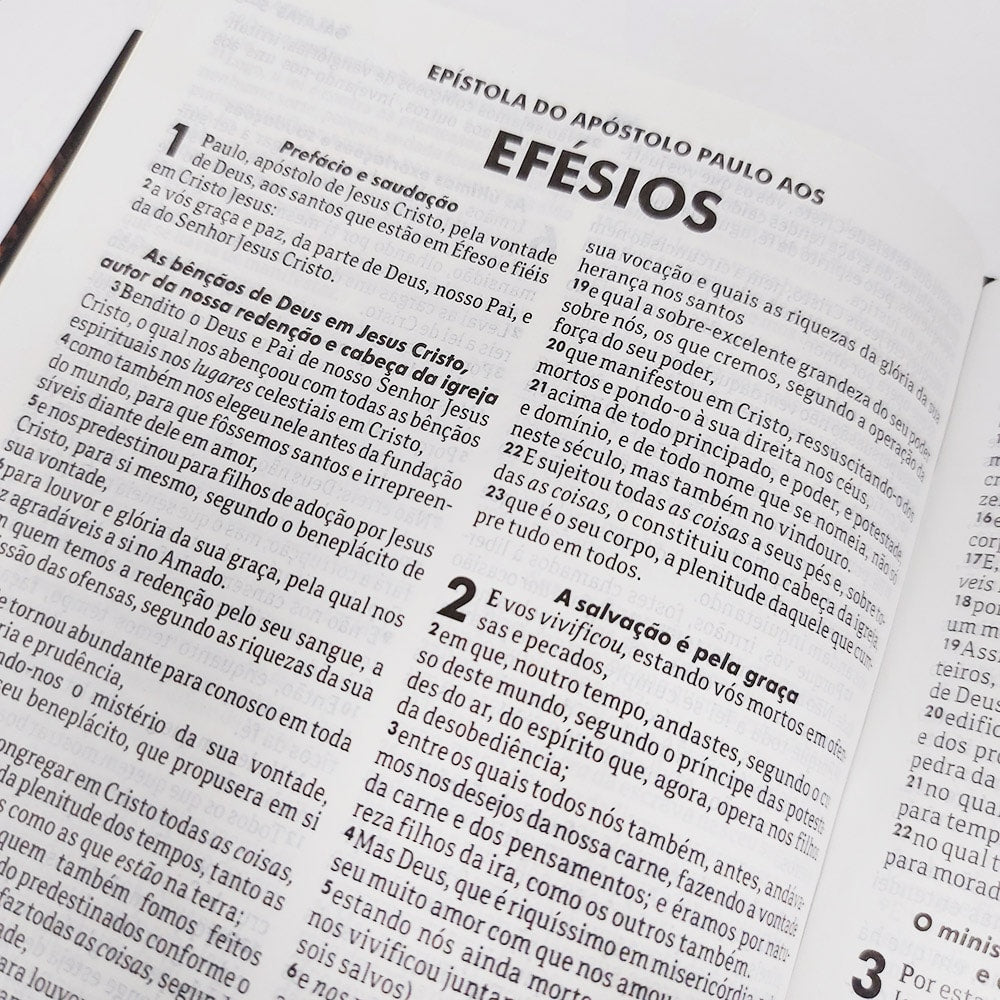 Bíblia Sagrada Leão com Harpa Cristão | ARC | Letra Normal | Capa Dura