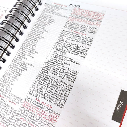 Bíblia com Espaço para Anotações | NVI | Letra Normal | Leão Oculto