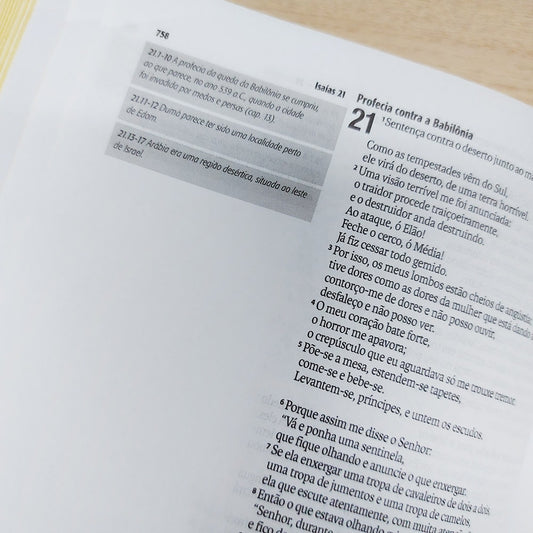 Bíblia Sagrada Jornada Mandamento | NAA | Letra Normal | Com espaços para anotações