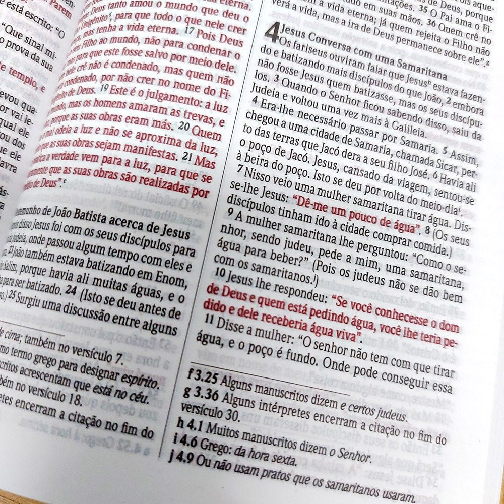 Bíblia Sagrada Deus Eterno | NVI | Letra Normal | Capa Dura