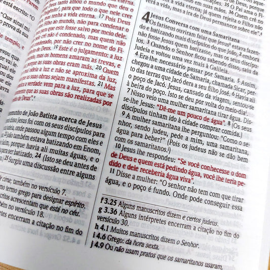 Bíblia Sagrada Deus Fiel | NVI | Letra Normal | Capa Dura