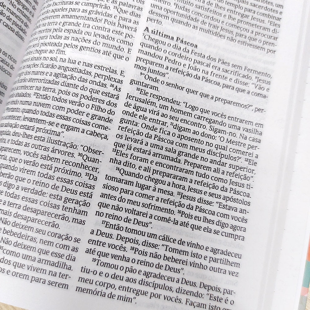 Bíblia Sagrada Viva Esperança | NVT | Letra Normal | Capa Dura