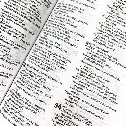 Bíblia Sagrada Bondade e Amor | NVT | Letra Normal | Capa Dura