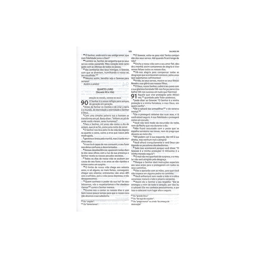 Bíblia De Estudo Nova Bíblia Viva | NBV | Capa Marrom