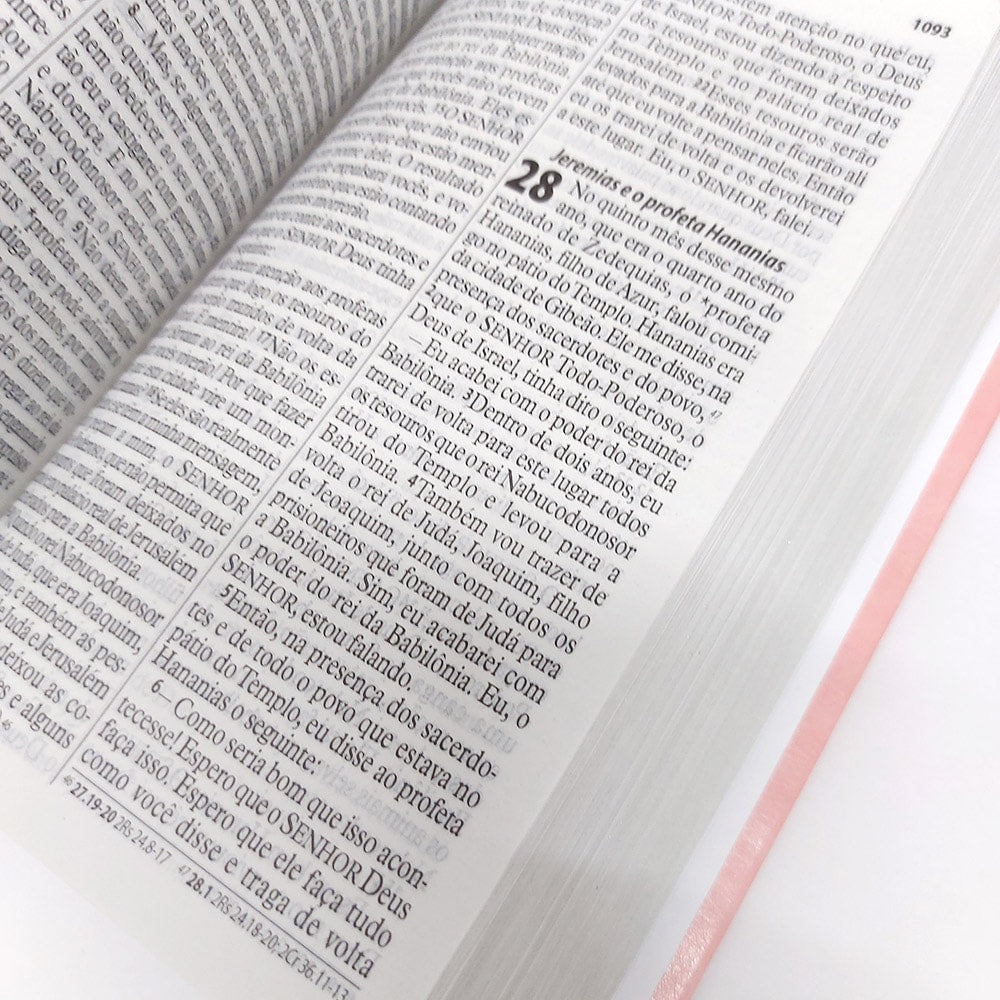 Bíblia Sagrada | NTLH | Letra Gigante | Capa Luxo Rosa