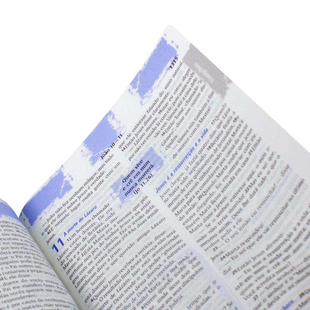 Bíblia Sagrada com Notas para Jovens | NTLH | Letra Normal